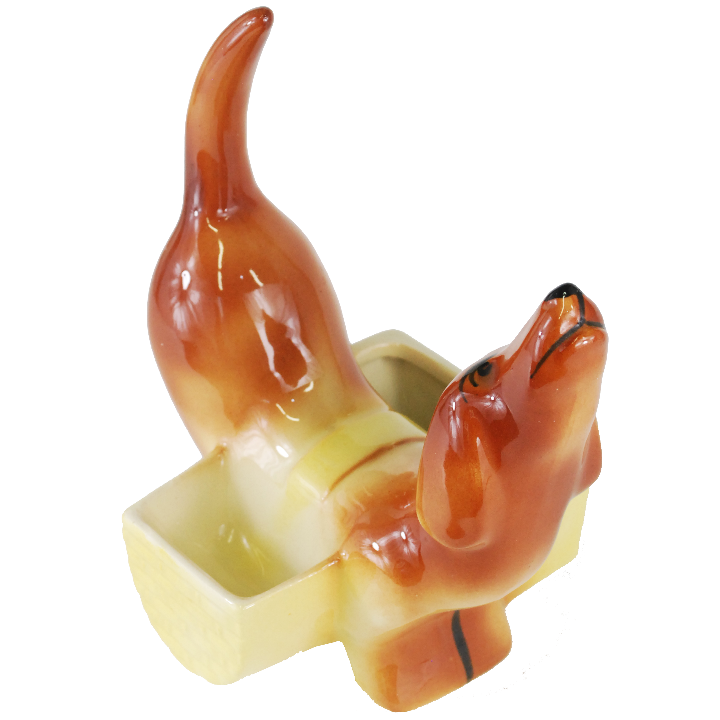 犬を見て思い浮かべたのは、写真家・森山大道の『三沢の犬』と呼ばれる